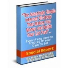 The amazing simple internet strategy PDF ebook